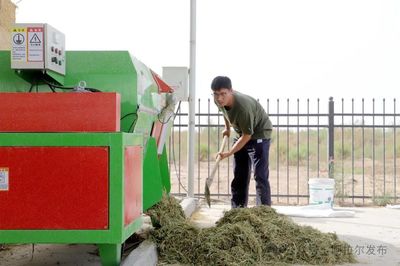 五團沙河鎮(zhèn) 發(fā)展畜牧養(yǎng)殖業(yè) 繪就增收新畫卷