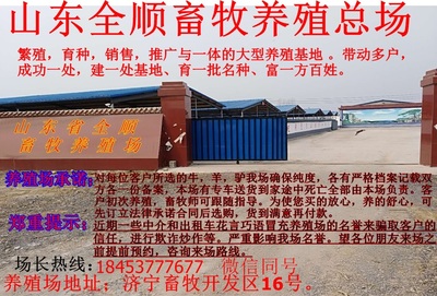 堆龍德慶縣優(yōu)質(zhì)波爾山羊成年種羊及畜牧漁業(yè)飼料銷售服務