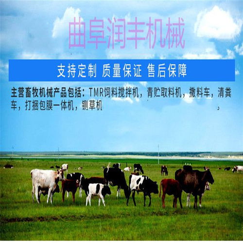 智能養(yǎng)殖新篇章 自動(dòng)喂料車(chē)如何革新畜牧飼料管理